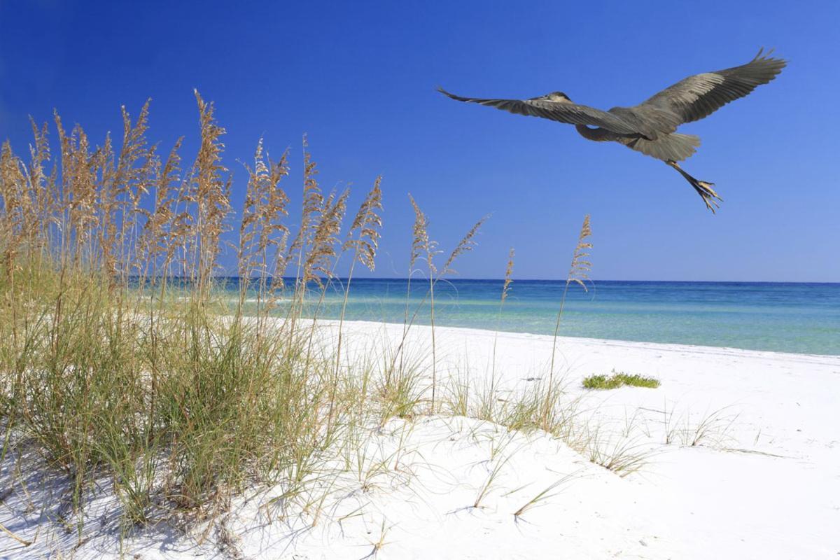 קייפ קנוורל Cozy Canaveral Beach Condo! Next To Nasa Launch Site מראה חיצוני תמונה
